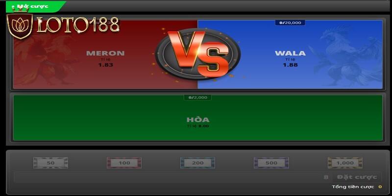 luat-chap-trong-da-ga