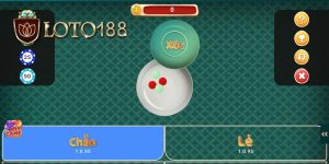 xoc-dia-mang-co-bip-khong